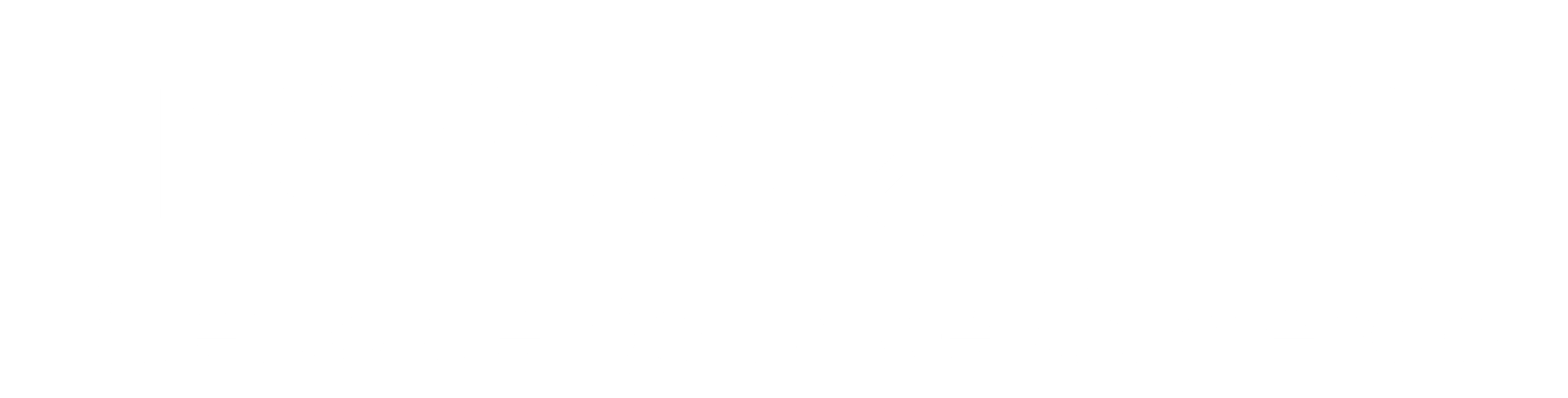 Transcomer Logo Blanco